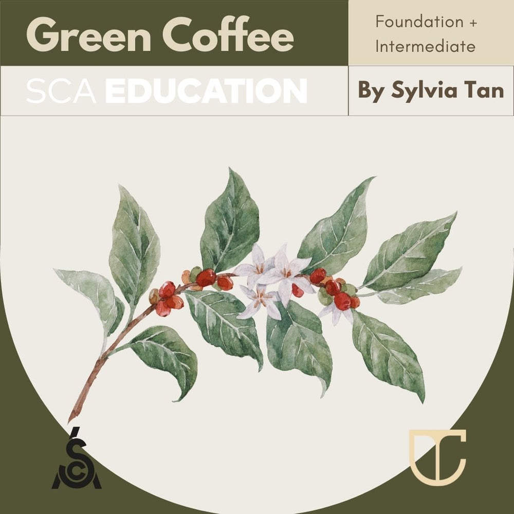 SCA GREEN COFFEE COURSE 咖啡生豆课程