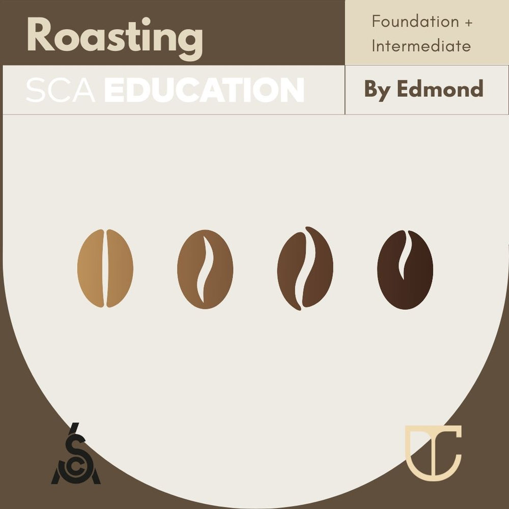 SCA ROASTING COURSE 烘焙课程