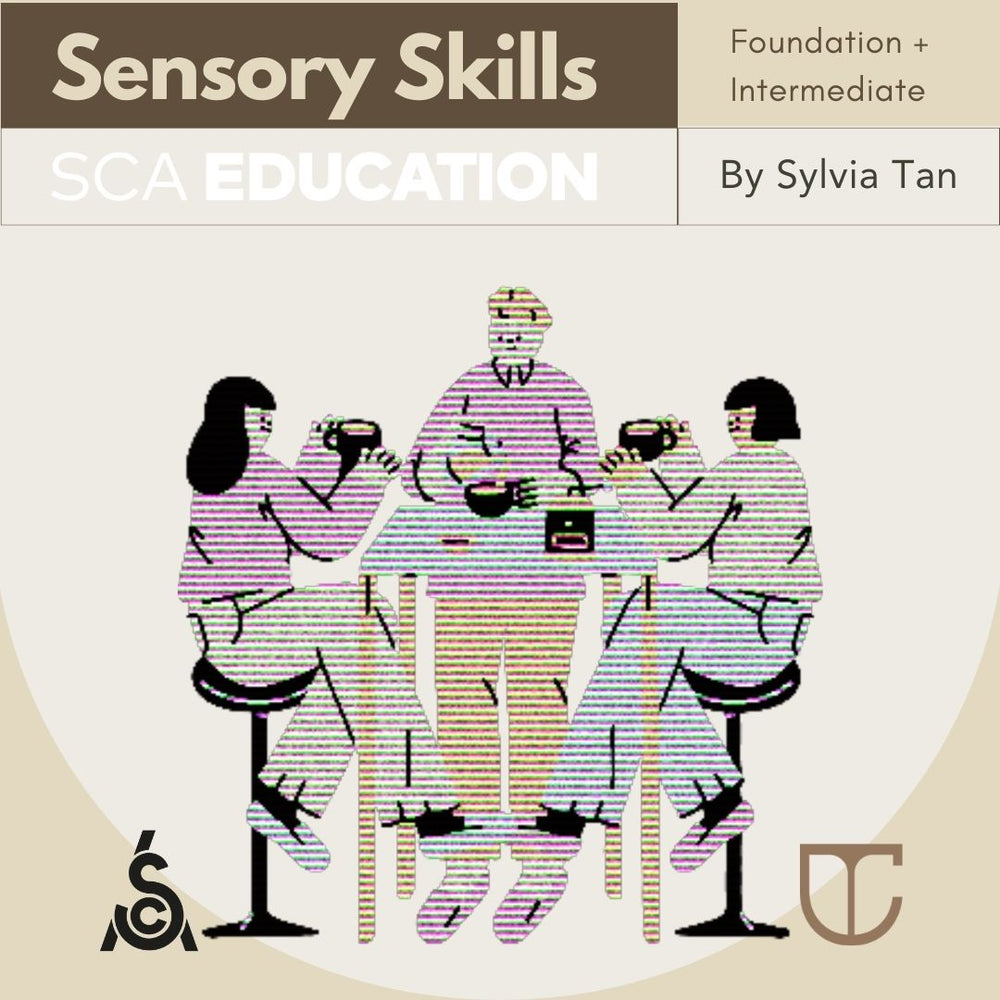 SCA SENSORY SKILLS  感官品鉴