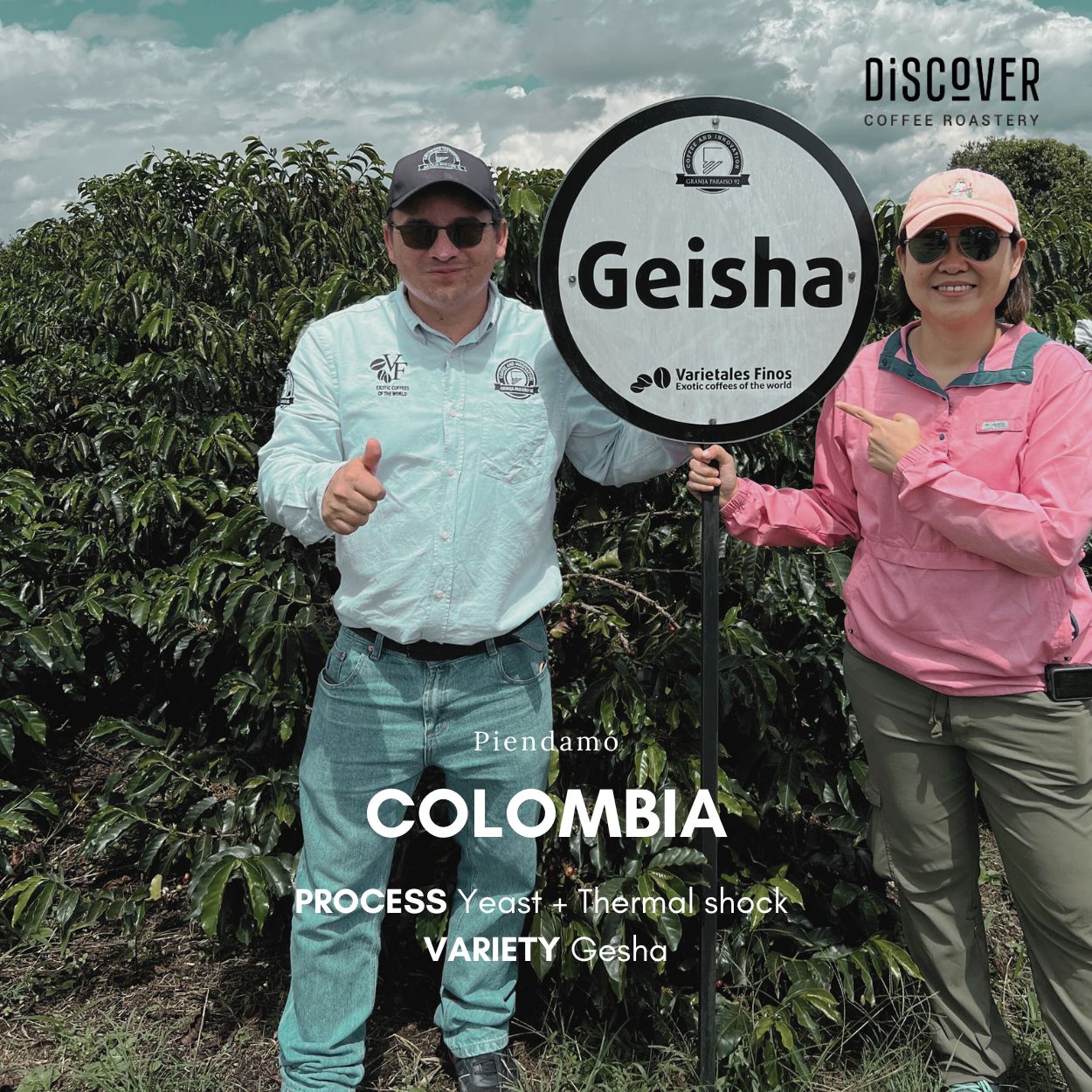 Granja Paraiso 92 | Gesha Thermal shock