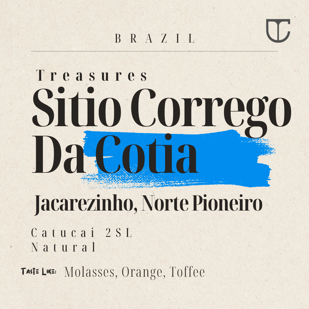 Gayo Serinen | Ttypica, AB, Catimor, Hybrid De Timor Washed