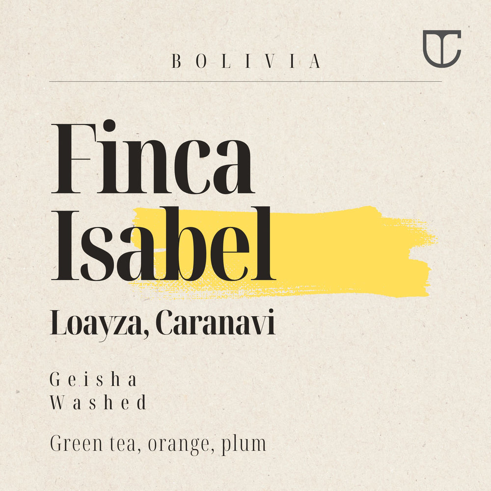 Finca Isabel | Geisha Washed