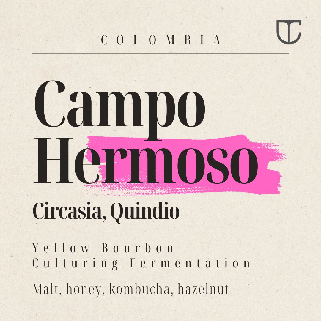 Campo Hermosa | Yellow Bourbon