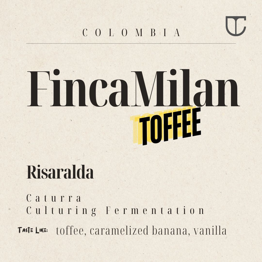 Colombia Finca Milan | Toffee