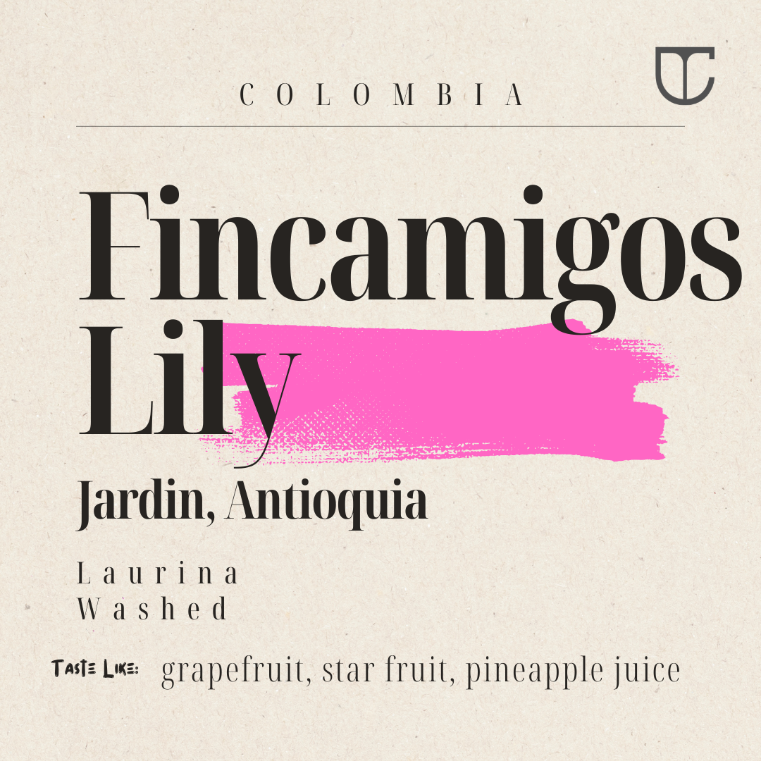 Colombia Fincamigos Lily | Washed