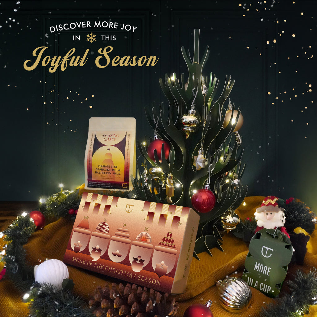 Discover Christmas Box