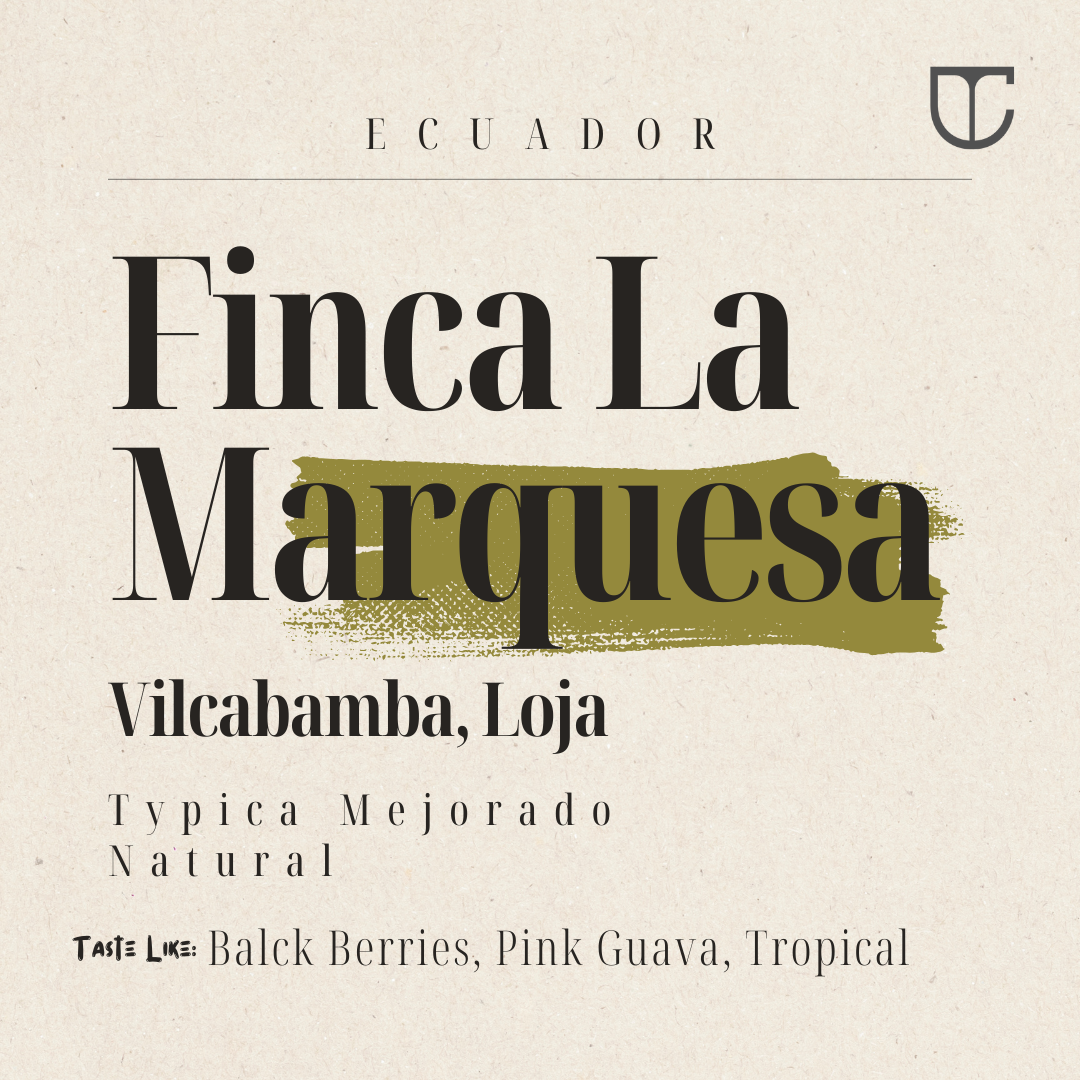 Ecuador Finca La Marquesa | Typica Mejorado Natural