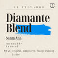 El Salvador DIamante Blend | Incunable Natural