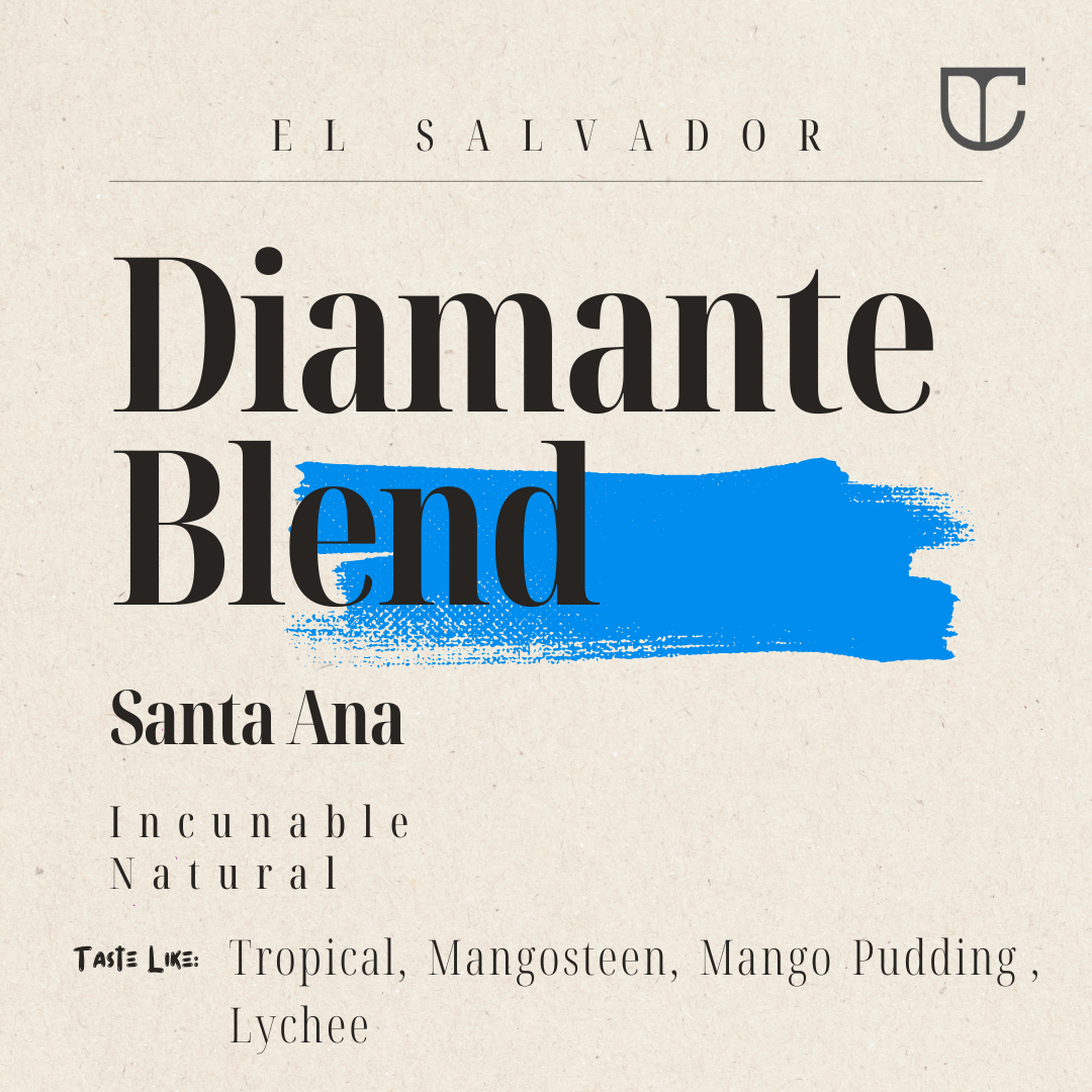 El Salvador DIamante Blend | Incunable Natural