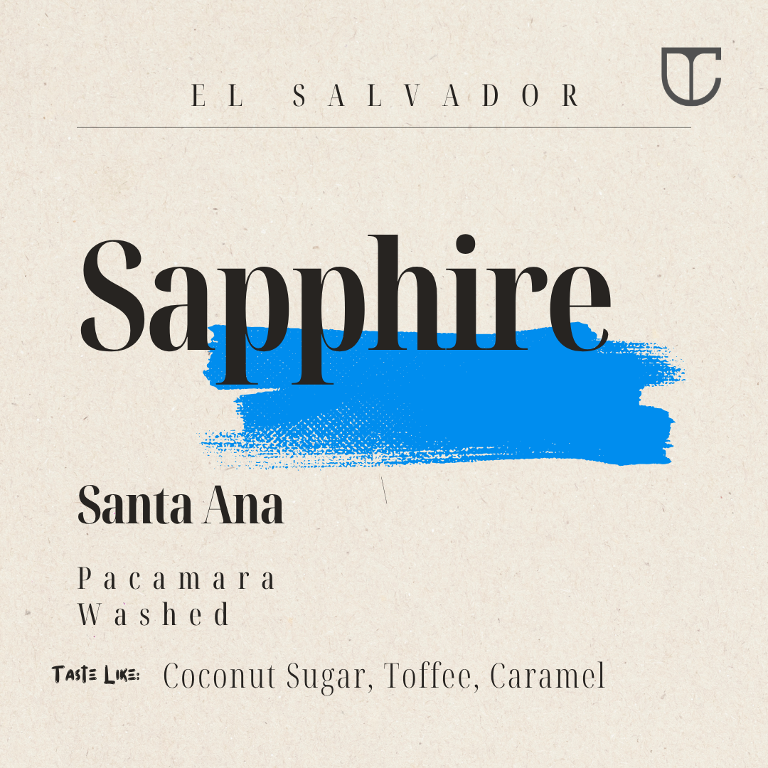 El Salvador Sapphire| Pacamara Washed