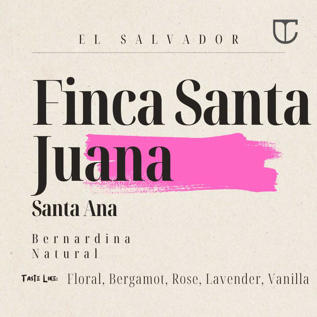 El Salvador Finca Santa Juana | Bernardina Natural