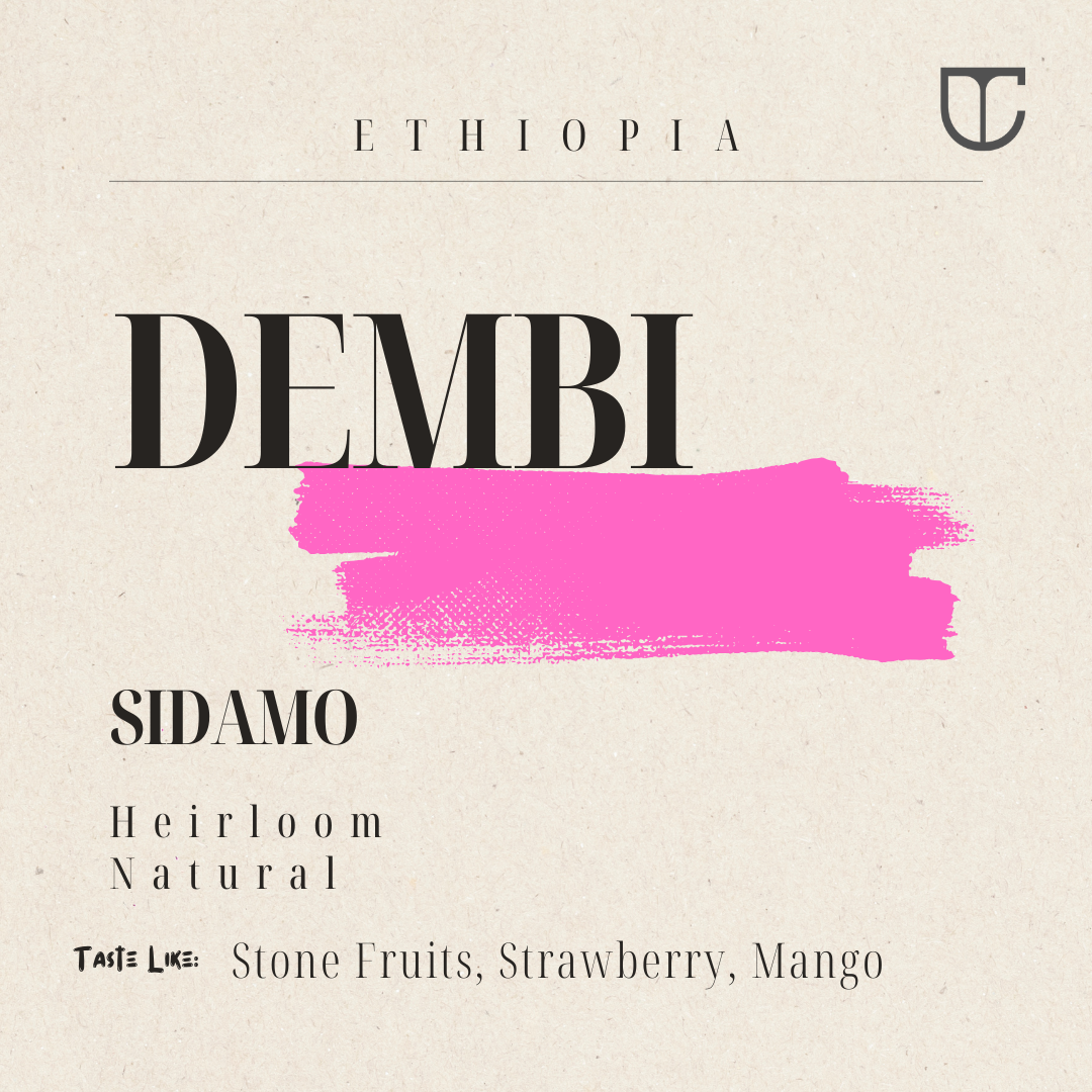 Ethiopia Sidama Dembi | Heirloom Natural