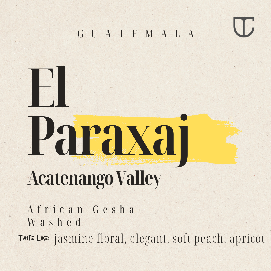 Guatemala Santa Felisa El Paraxaj | African Gesha Washed