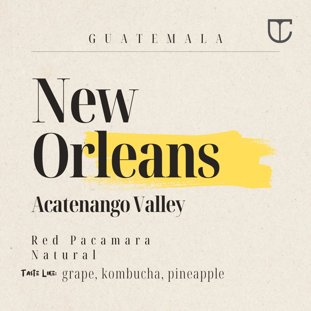 Guatemala Santa Felisa New Orleans | Red Pacamara Natural