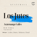 Guatemala Los Jutes | Red Pacamara Natural