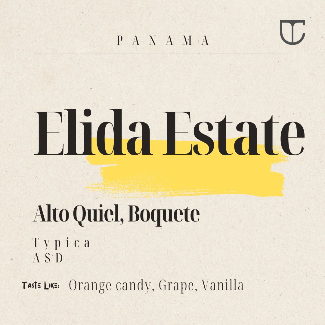 Panama Elida Estate | Typica  ASD