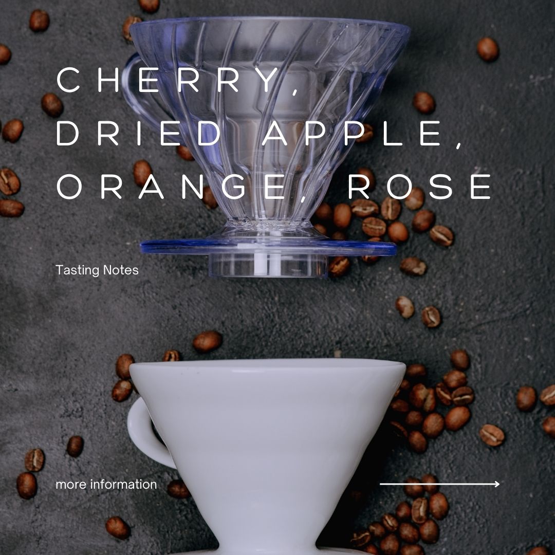 Ethiopia Gotiti G1 | Natural