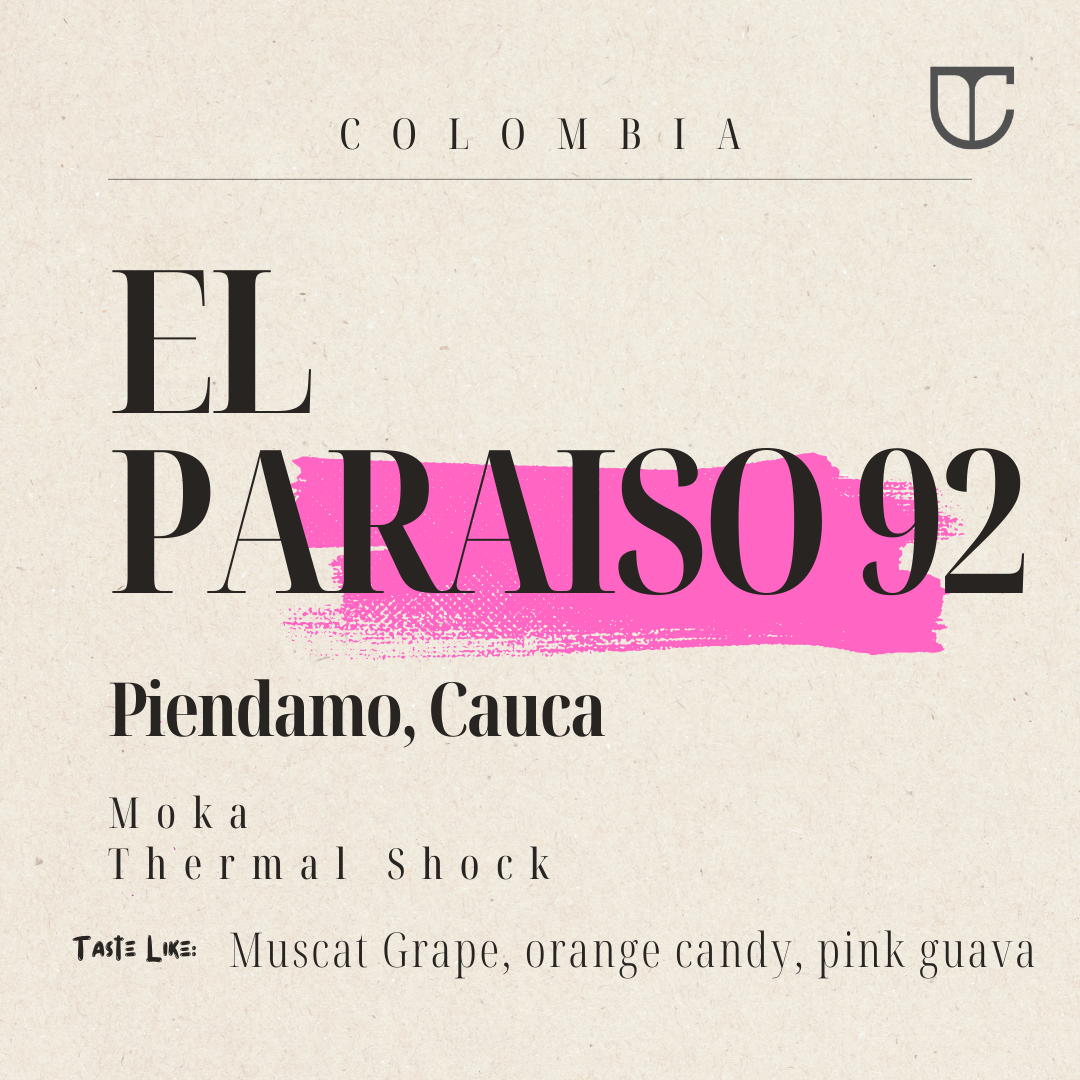 Colombia El Paraiso 92Moka | Thermal Shock
