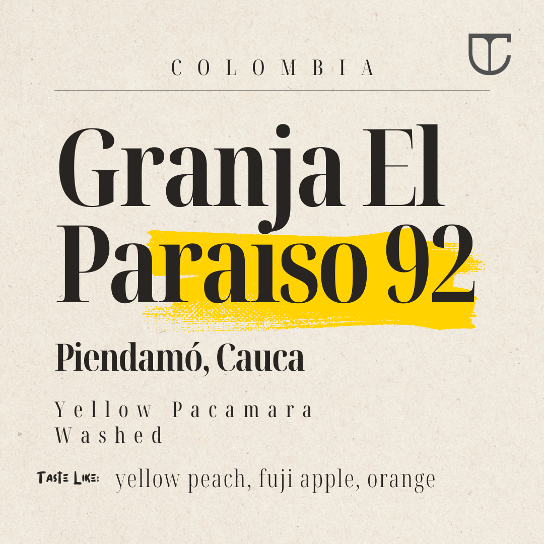 Colombia El Paraiso 92 Yellow Pacamara | Washed