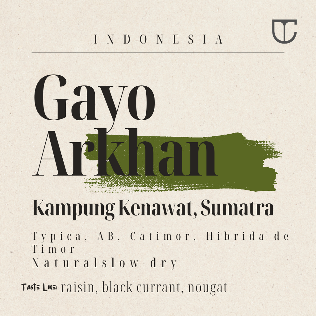 Indonesia Gayo Arkhan | Natural