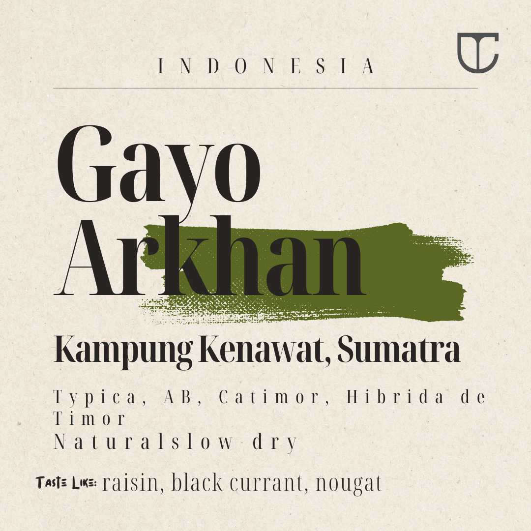 Indonesia Gayo Arkhan | Natural
