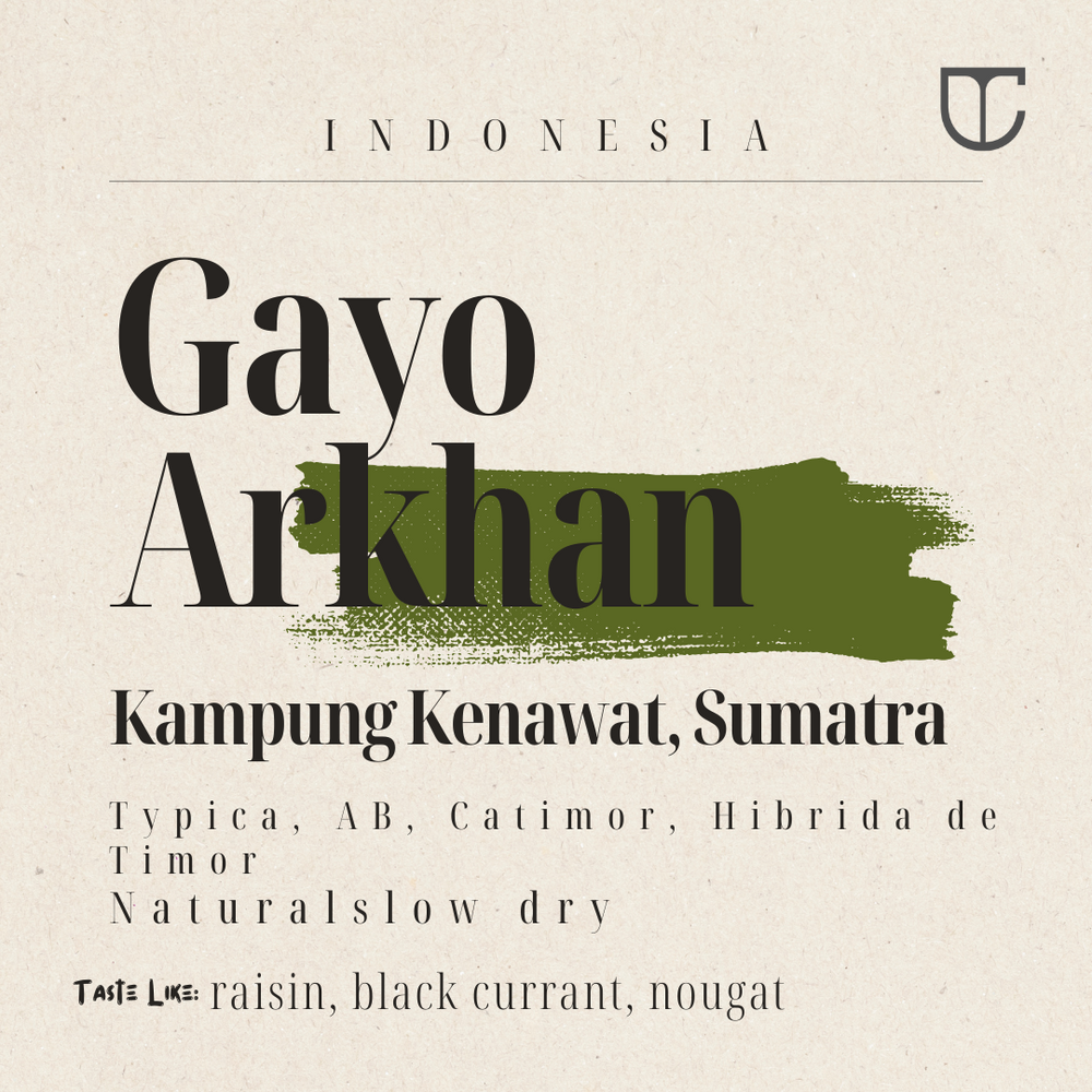 Gayo Arkhan Natural