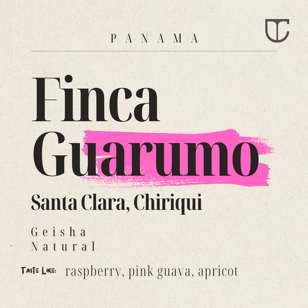 Finca Guarumo | Geisha Natural