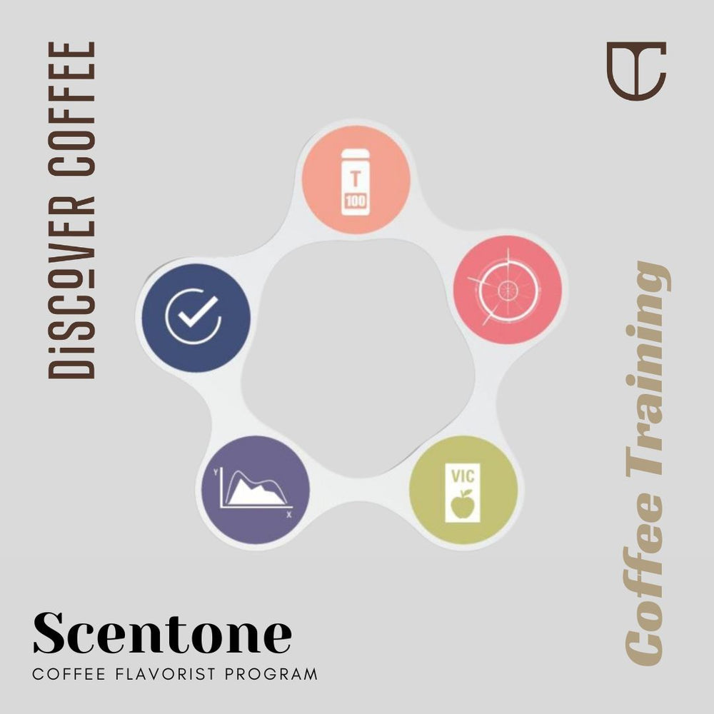 SCENTONE COFFEE FLAVORIST