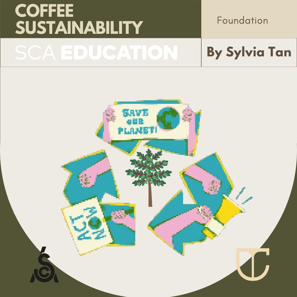 SCA COFFEE SUSTAINABILITY