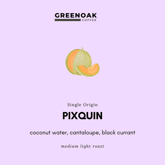 Pixquin | Pacamara Natural